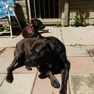 Meet your Posher, Jane